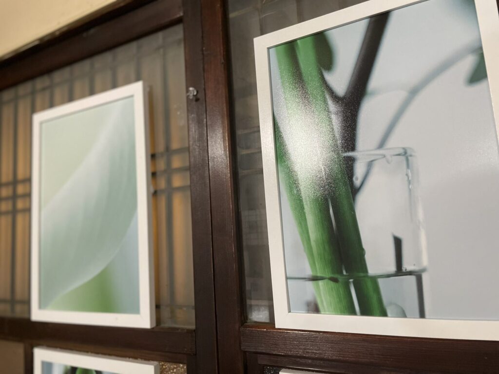 GTUwVBpagAA8LYw 1024x768