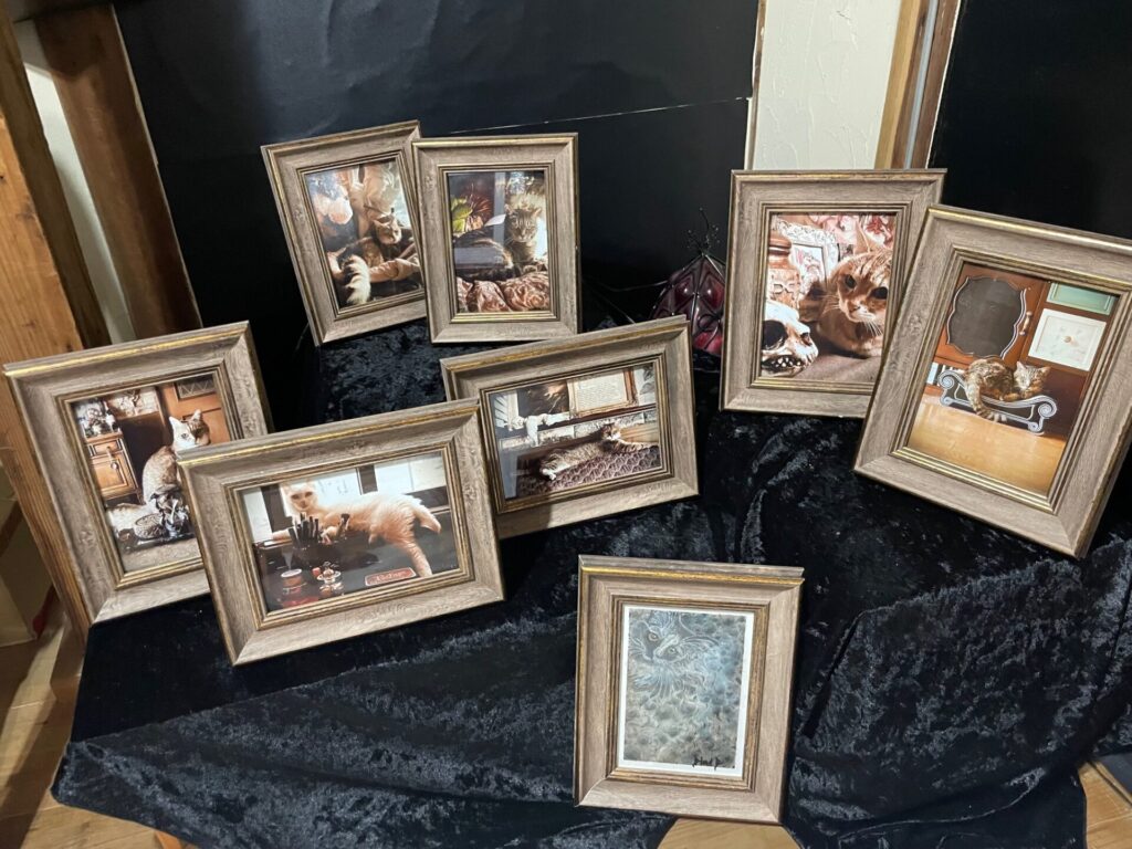 【2024,11,15】犬猫展しています。17日まで。 IMG 8526 1024x768