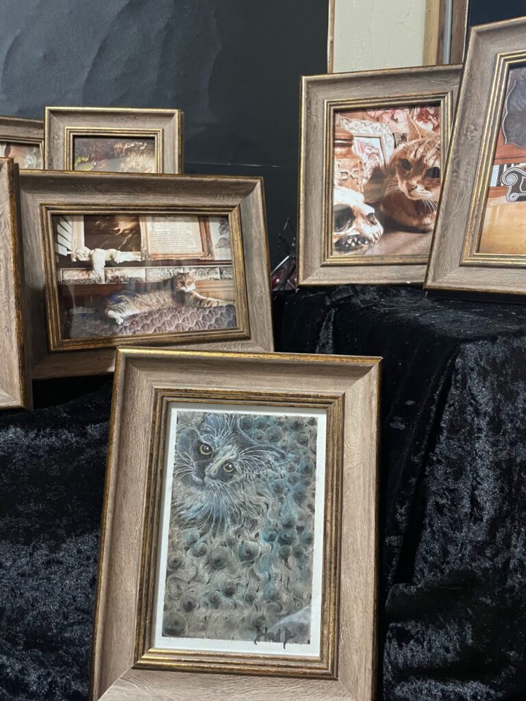 【2024,11,15】犬猫展しています。17日まで。 IMG 8527 768x1024