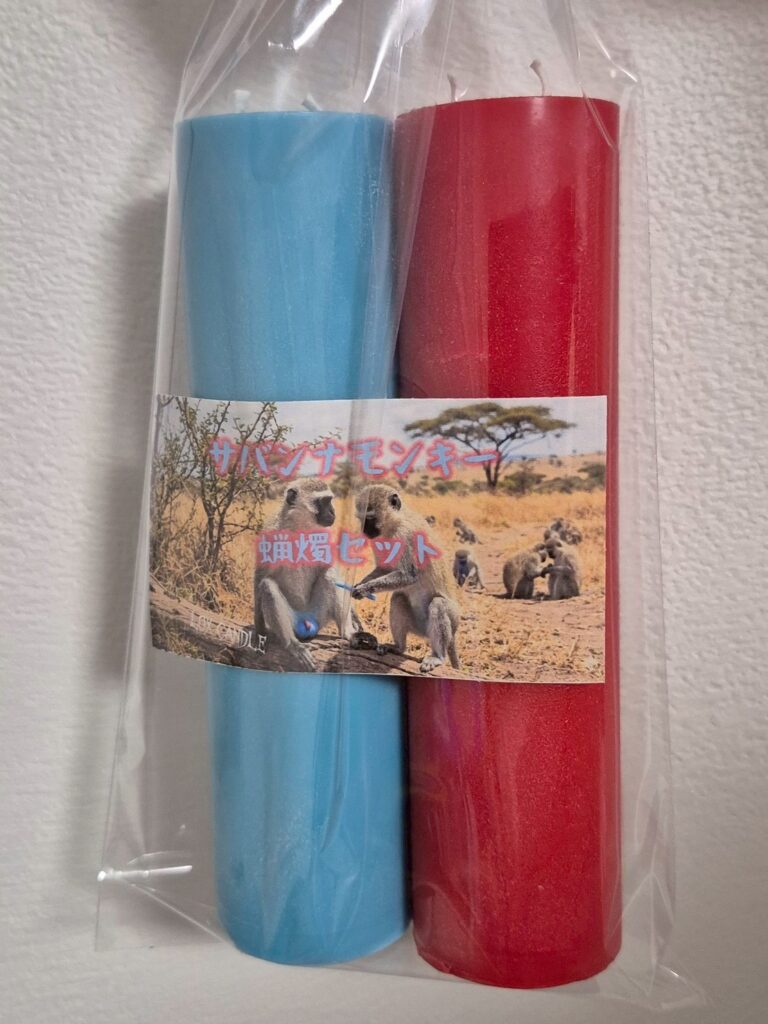 line album 20260326 260401 3