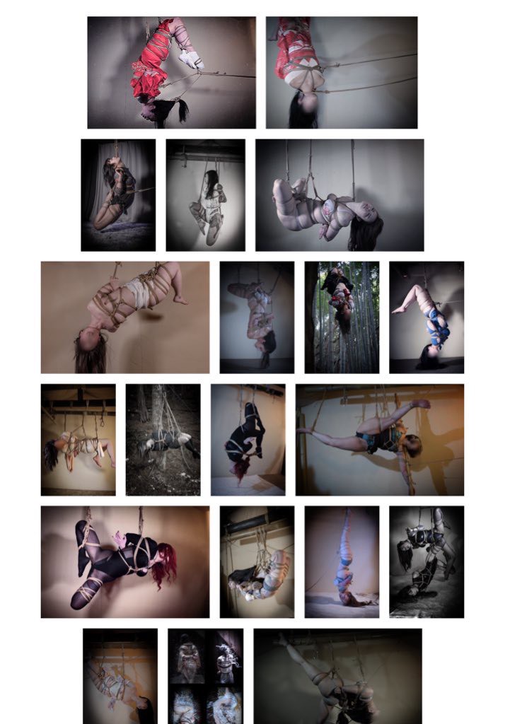 line album 20260326 260401 6