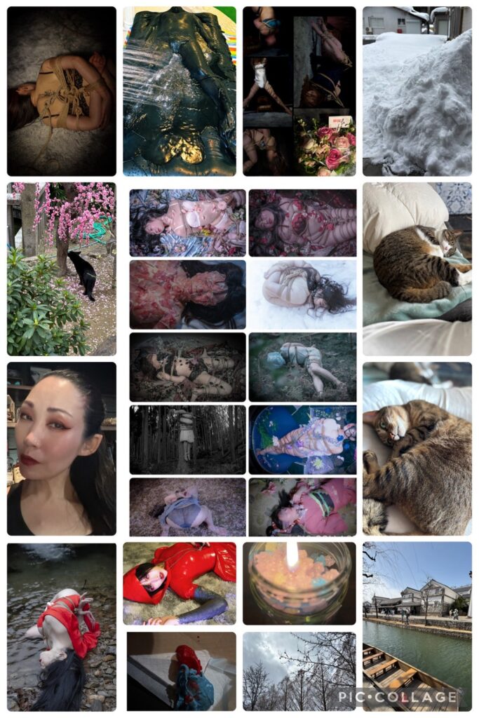 line album 20260326 260417 6